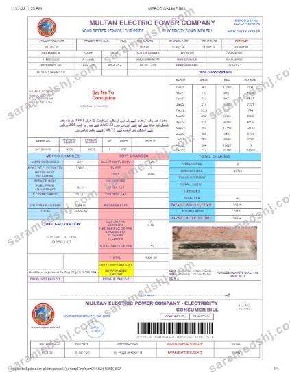 PAKISTAN MULTAN ELECTRIC POWER utility bill Word and PDF template, version 2